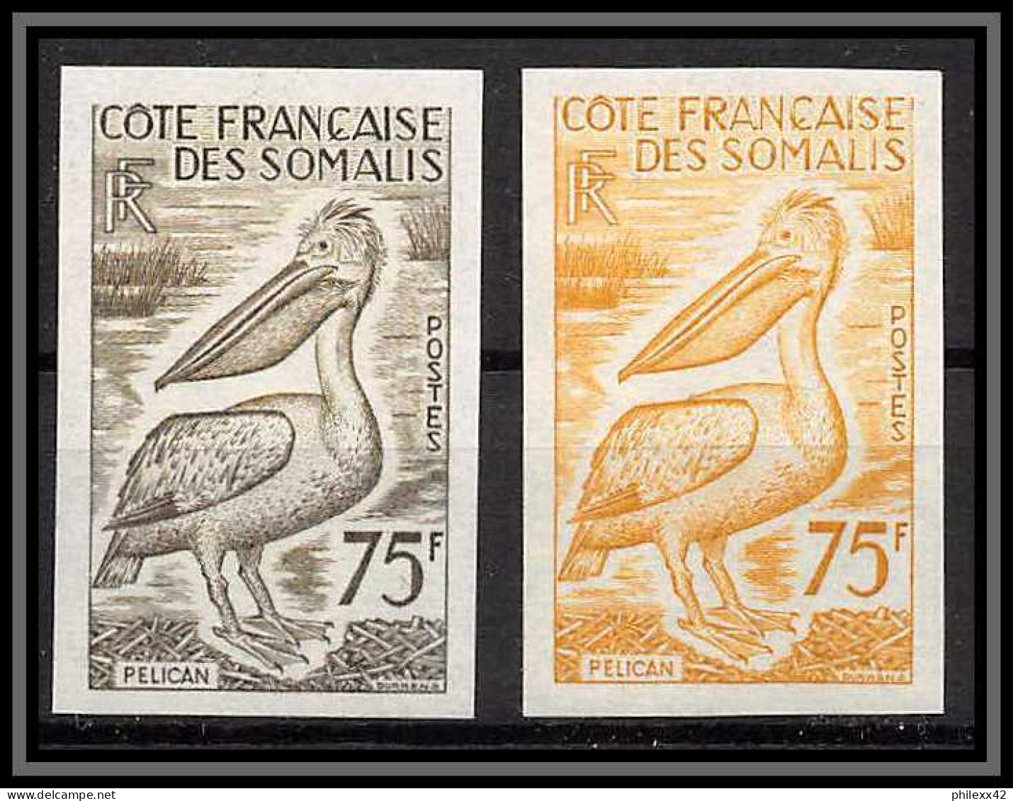 93348 Cote Française Des Somalis N°303 Pelican Oiseaux (birds) Lot De 2 Essai Proof Non Dentelé Imperf ** MNH - Pélicans