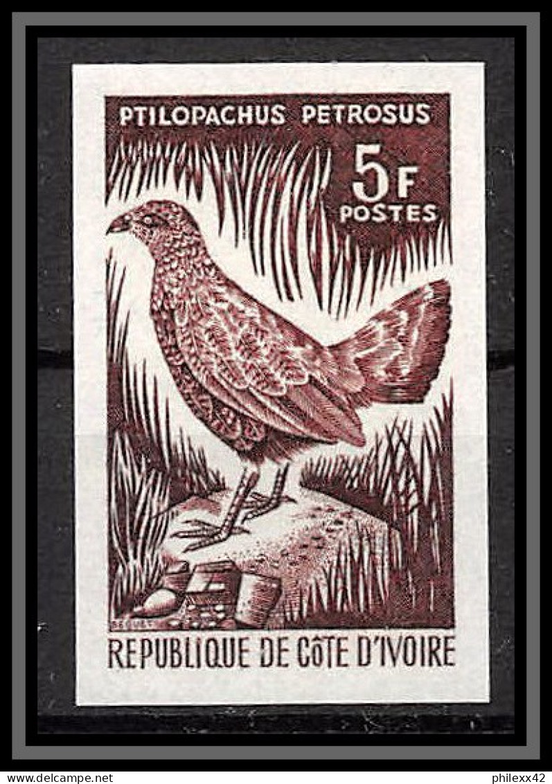 93665t Cote D'ivoire N°251 Oie De Gambie Goose Oiseaux (birds) Essai Proof Non Dentelé Imperf ** MNH 1966 - Oies