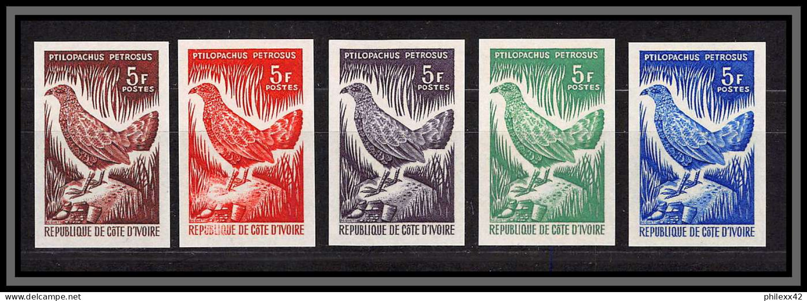 93667b Cote D'ivoire N°251 Oie De Gambie Goose Oiseaux Birds 1966 Lot 5 Couleurs Essai Proof Non Dentelé Imperf ** MNH - Gänsevögel