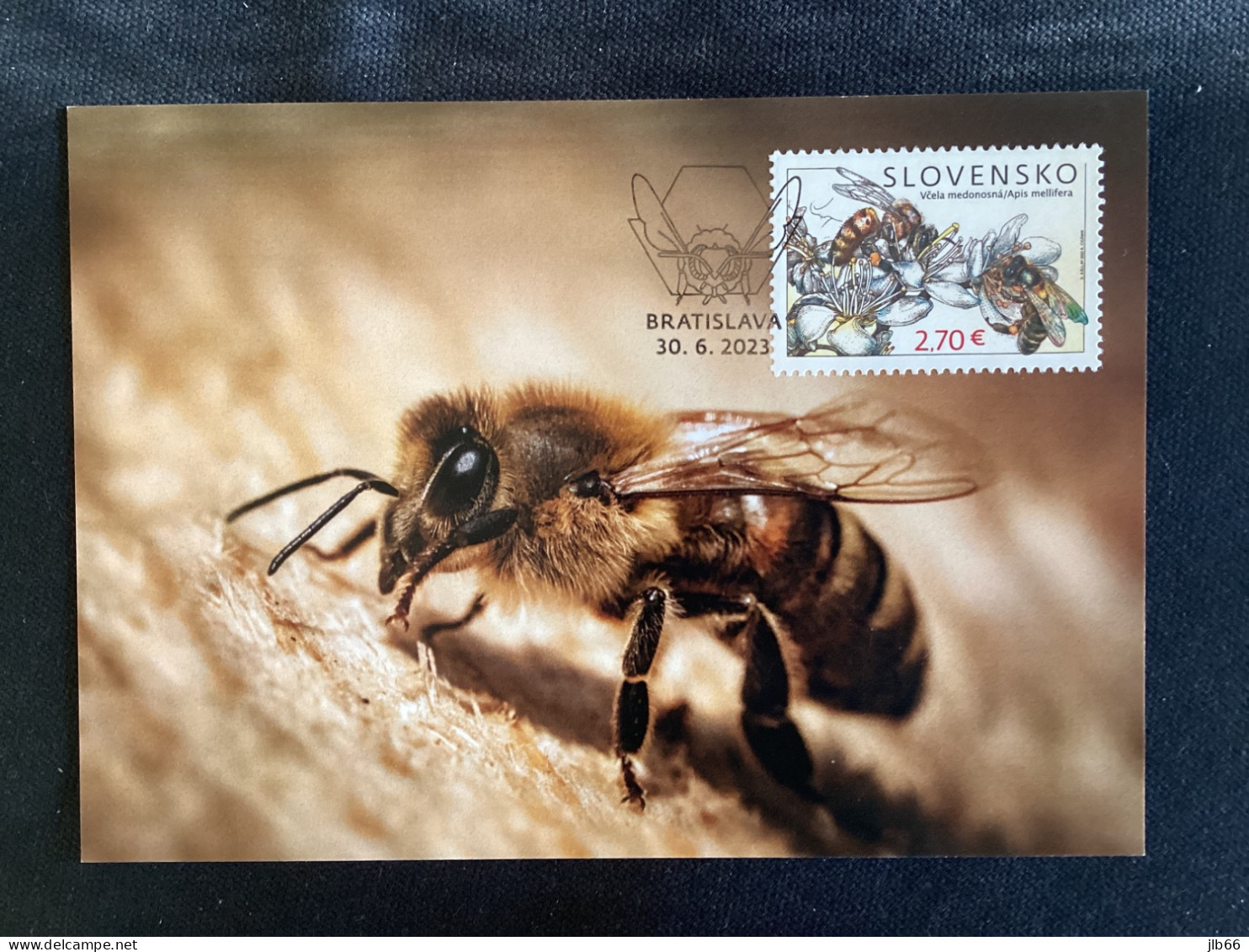 2023 Carte Maximum Yvert 883 Pofis 776 Les Abeilles Bees - FDC