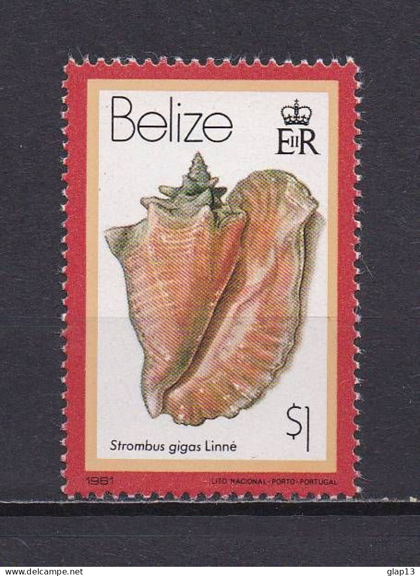 BELIZE 1981 TIMBRE N°468 NEUF** COQUILLAGES - Belize (1973-...)