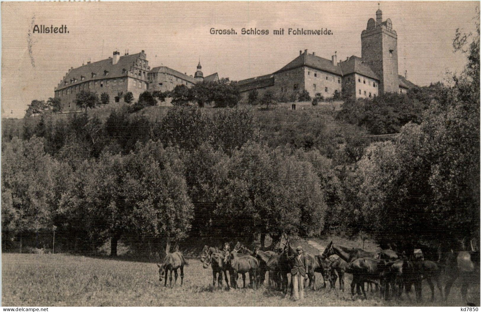 Mansfeld/Südharz - Allstedt - Grossh. Schloss Mit Fohlenweide - Mansfeld