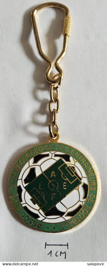 Fédération Luxembourgeoise De Football Luxembourg football Association Pendant Keyring PRIV-2/5 - Uniformes Recordatorios & Misc