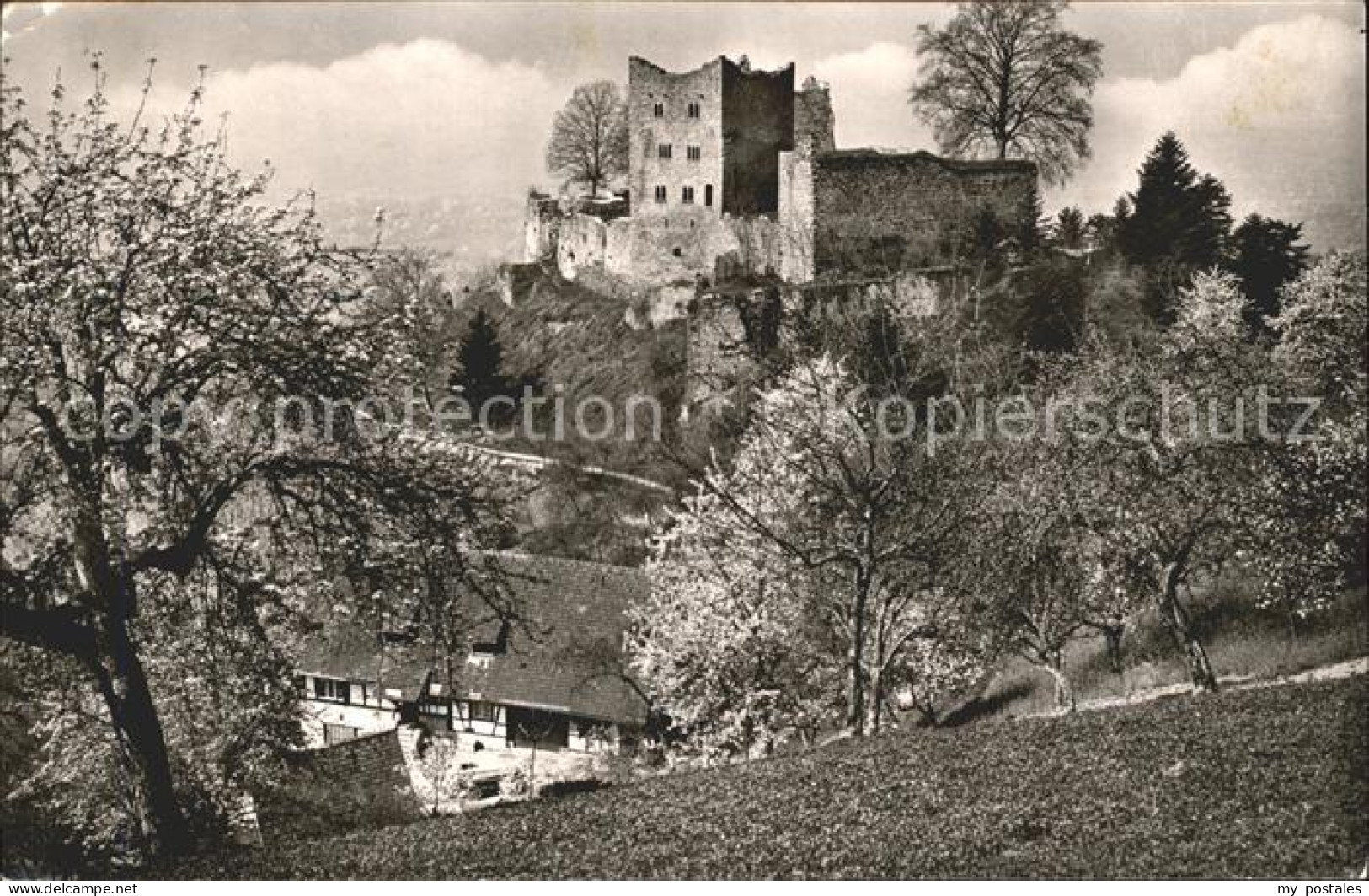 41816815 Oberkirch Baden Schauenburg Schlosswirtschaft Oberkirch - Oberkirch