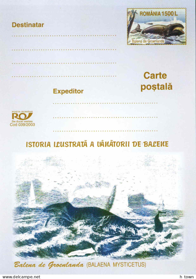 224  Baleine Boréale: Entier (c.p.) 2002 - Bowhead Whale Stationery Postcard. Whaling Greenland Baleine Du Groenland - Whales