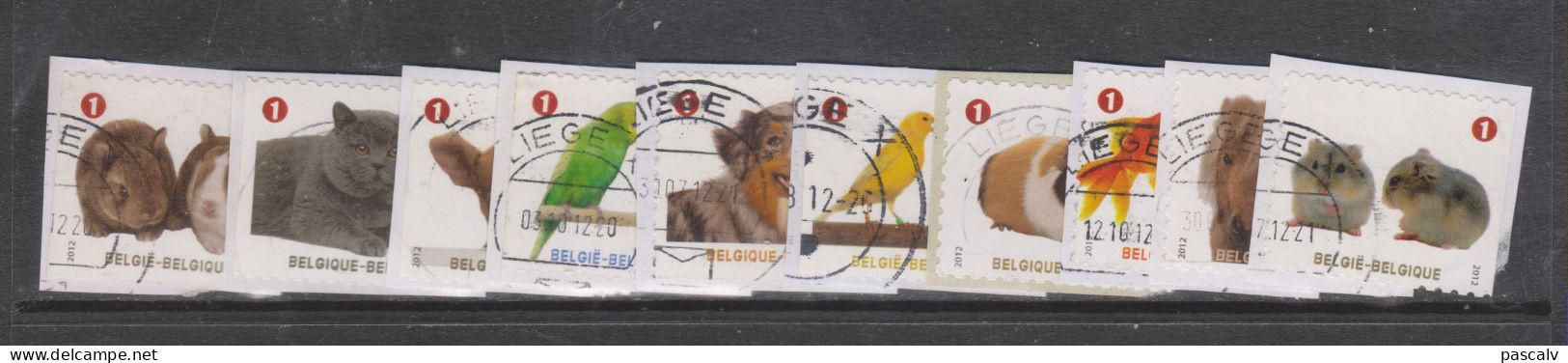 COB 4230 / 4239 Série Complète Animaux Canard Chien Chat Poney Lapin Hamster Cobaye - Used Stamps