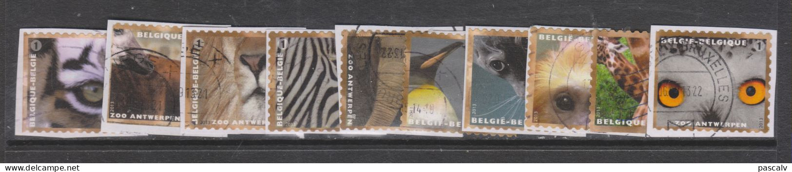 COB 4340 / 4349 Série Complète Animaux Hibou éléphant Lion Zèbre Tigre Girafe Phoque - Usados