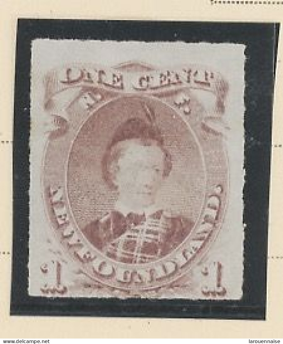 TERRE-NEUVE -N°35 - 1 Cent BRUN ROUGE - NSG - PERCÉ EN LIGNE - 1876-79 - 1865-1902