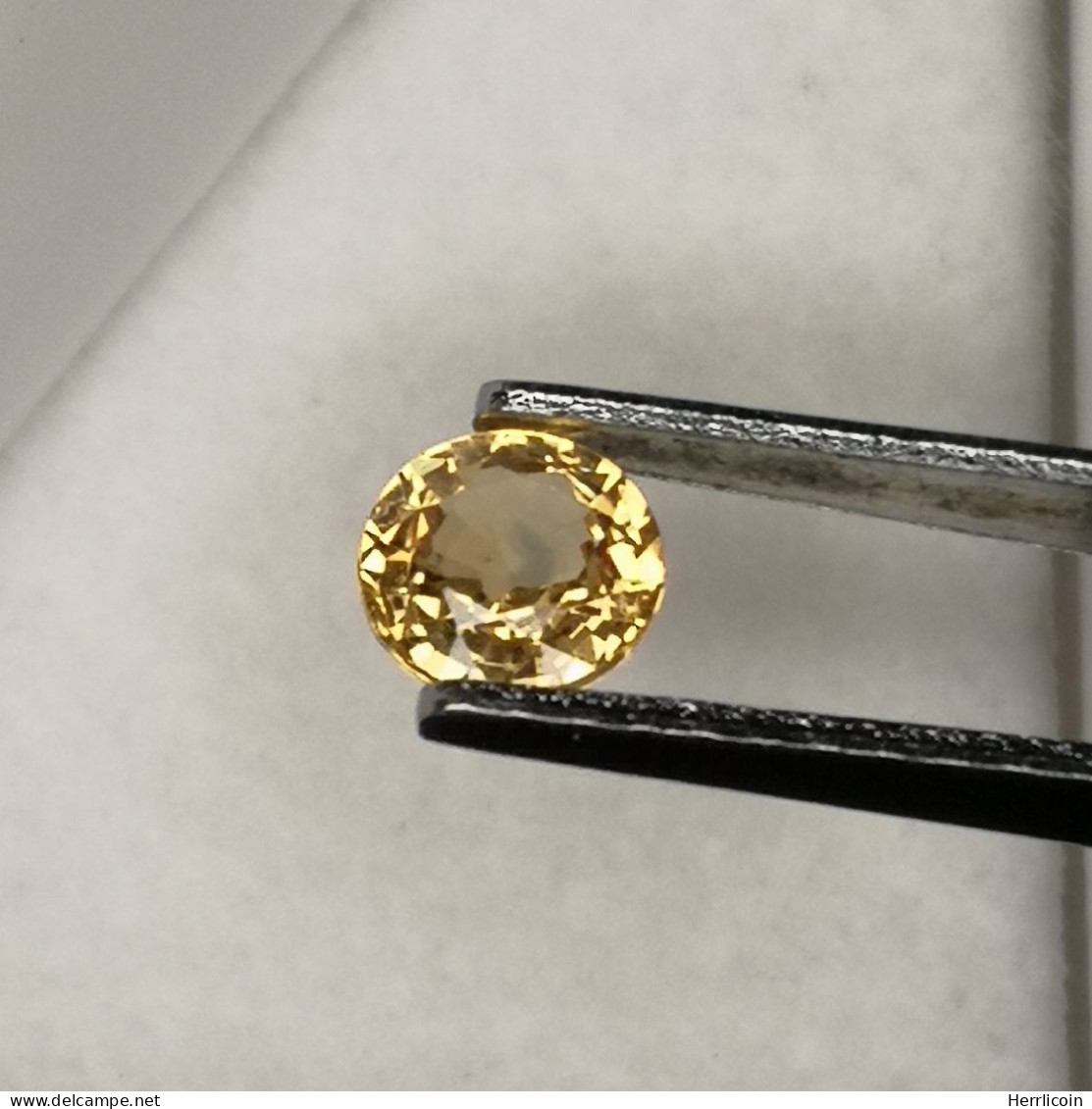 Saphir Jaune Traité (BE) De Madagascar - Rond 0.59 Carat - 4.8 X 2.6 Mm - Zafiro