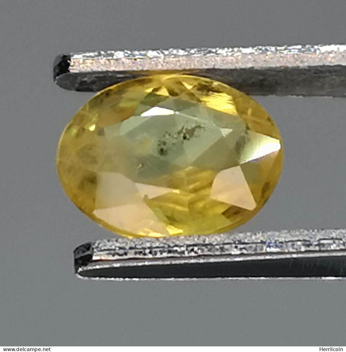 Saphir Jaune Traité (BE) De Thaïlande - Ovale 0.66 Carat - 6.2 X 5.0 X 2.4 Mm - Zafiro