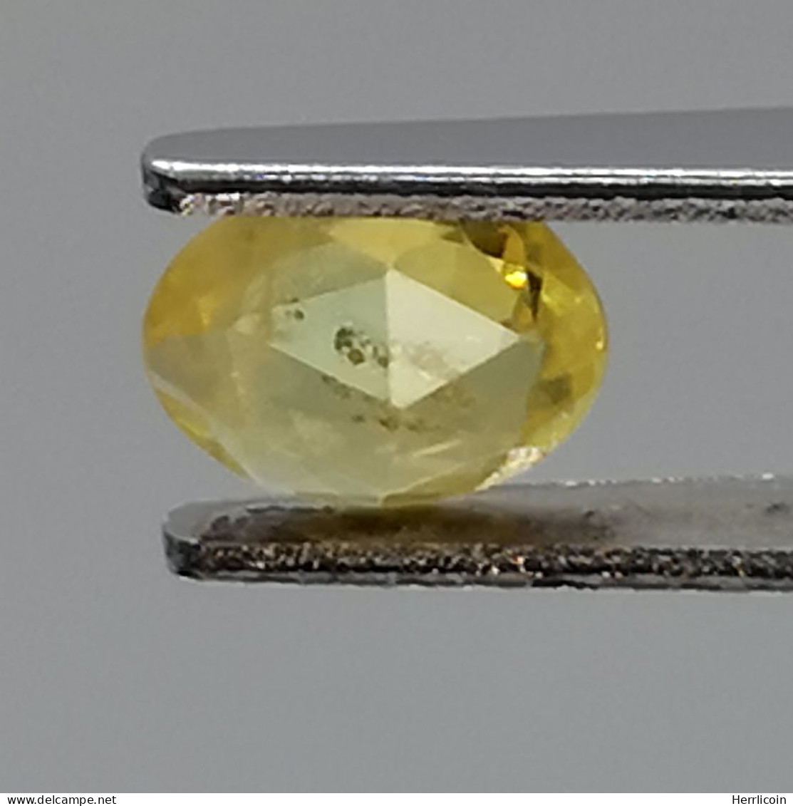 Saphir Jaune Traité (BE) De Thaïlande - Ovale 0.66 Carat - 6.2 X 5.0 X 2.4 Mm - Saffier