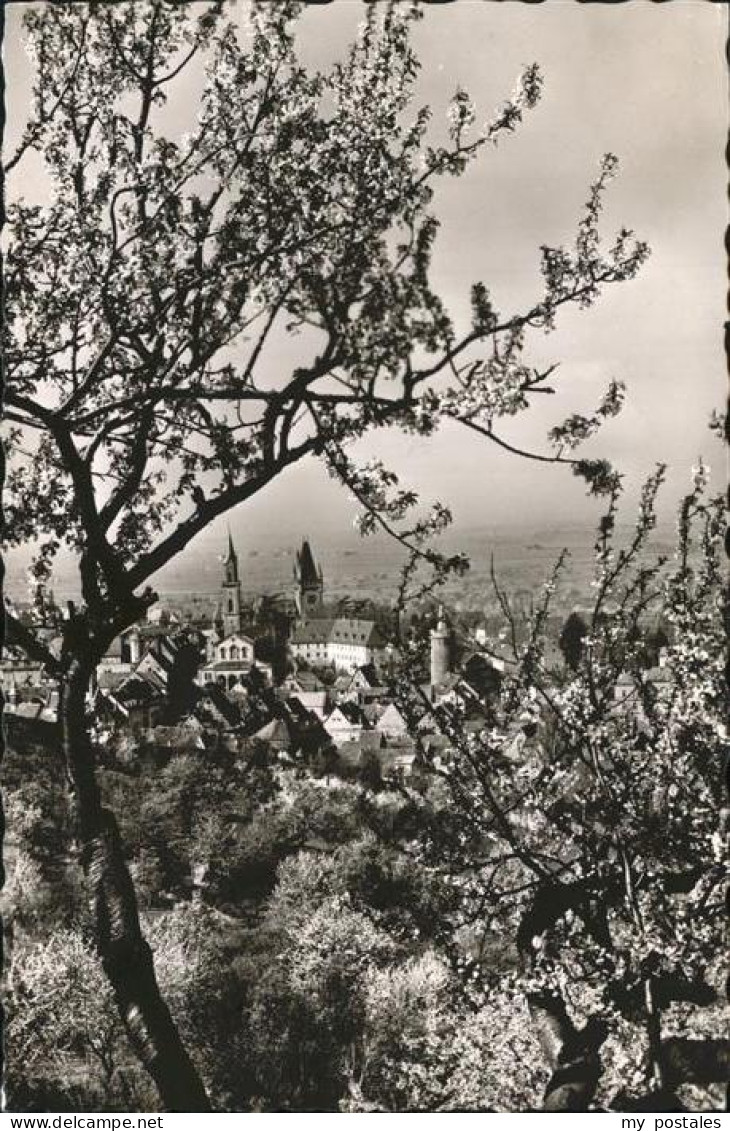 41257563 Weinheim Bergstrasse  Weinheim - Weinheim