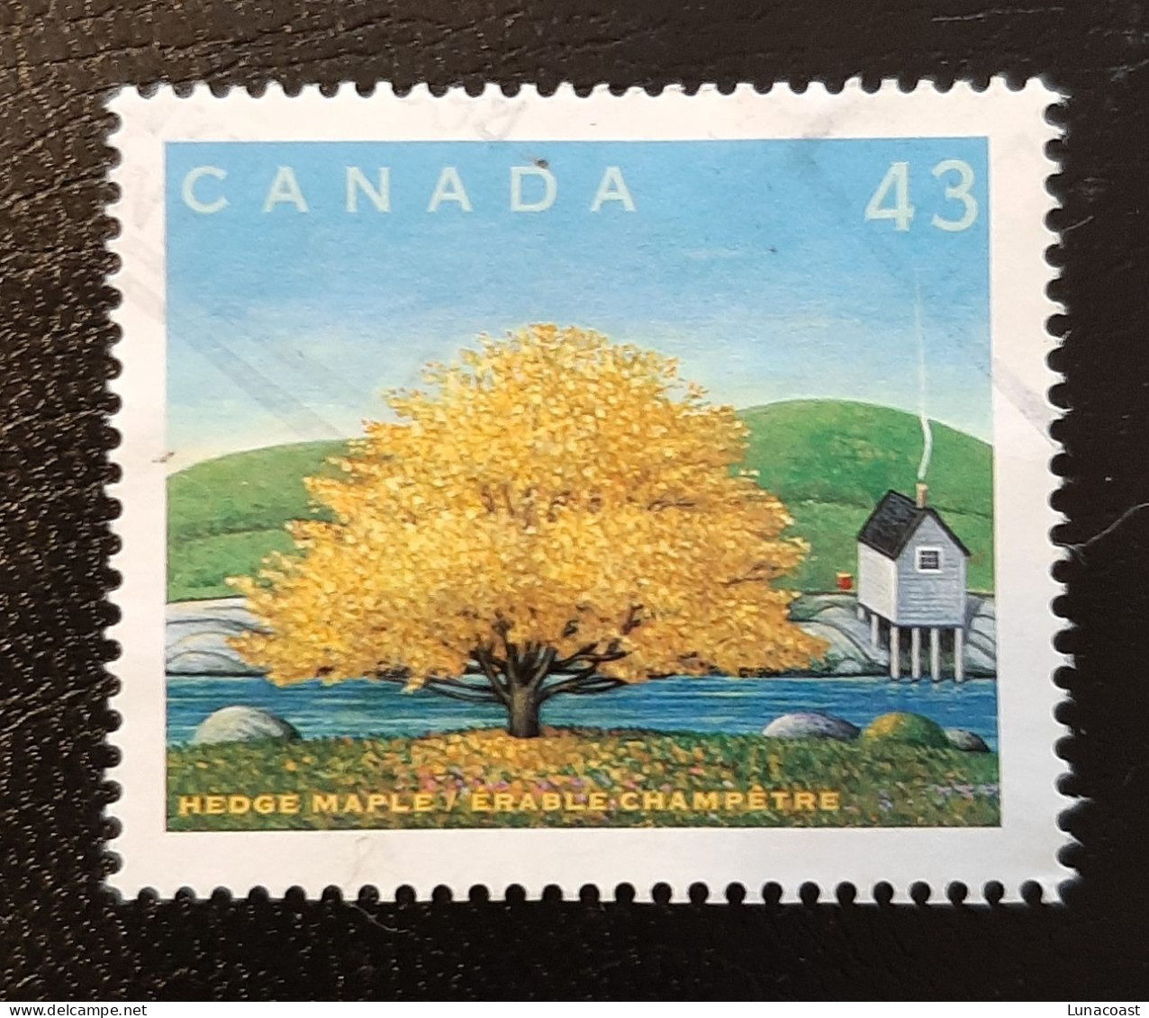 Canada 1994  USED  Sc1524 K   43c  Hedge Maple - Oblitérés