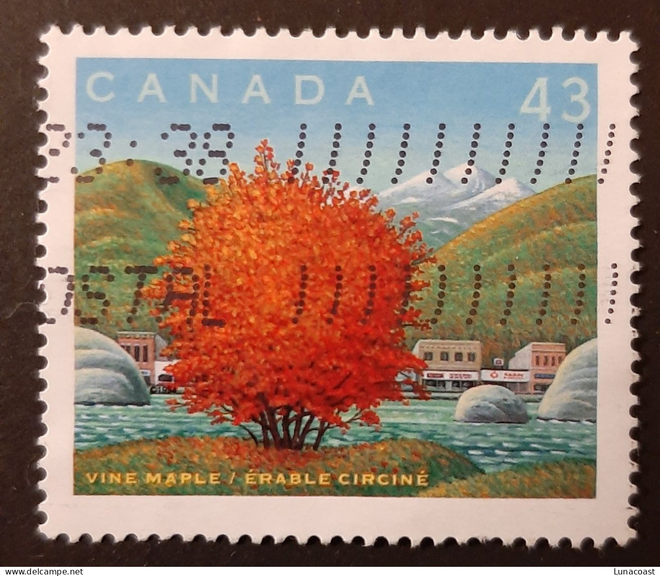 Canada 1994  USED  Sc1524 J   43c  Vine Maple - Used Stamps
