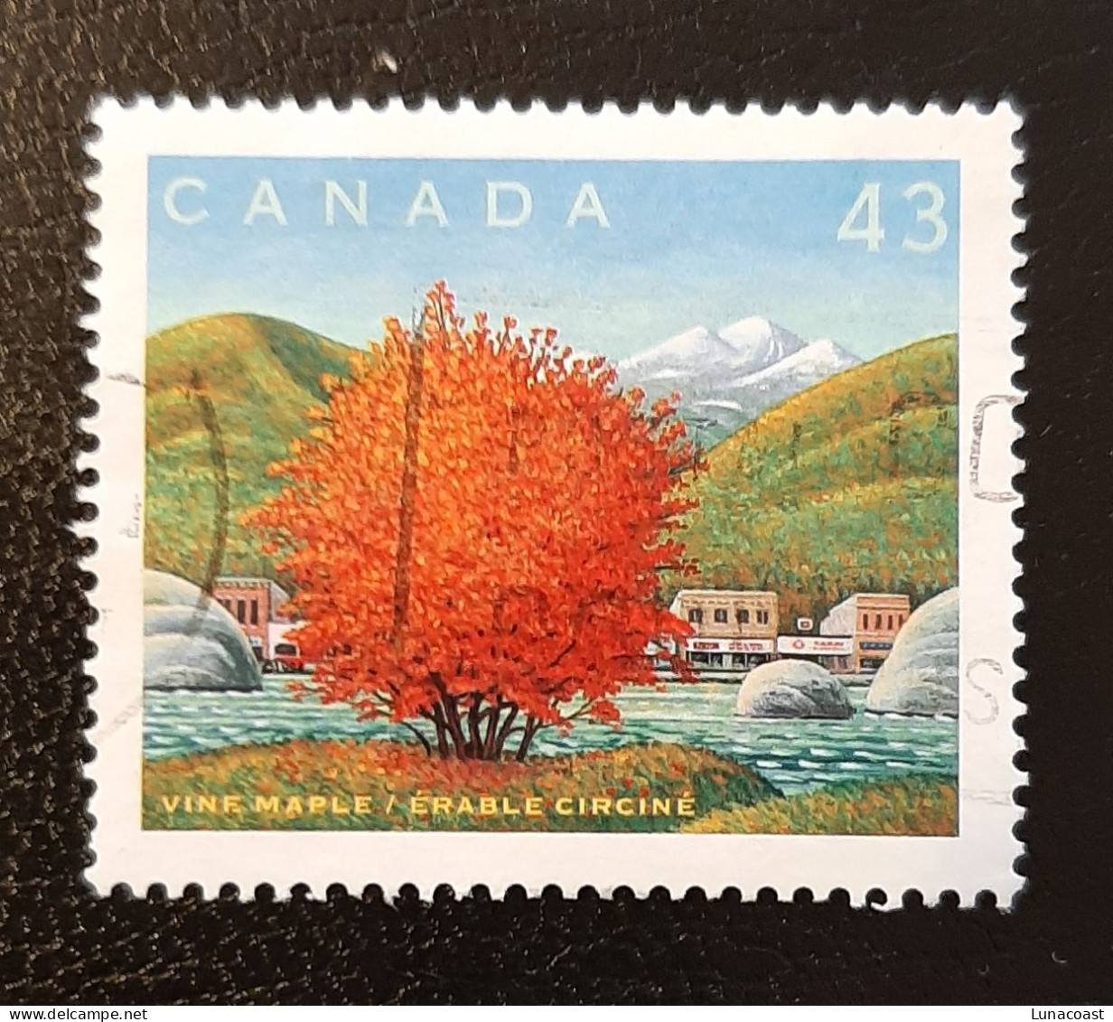 Canada 1994  USED  Sc1524 J   43c  Vine Maple - Oblitérés