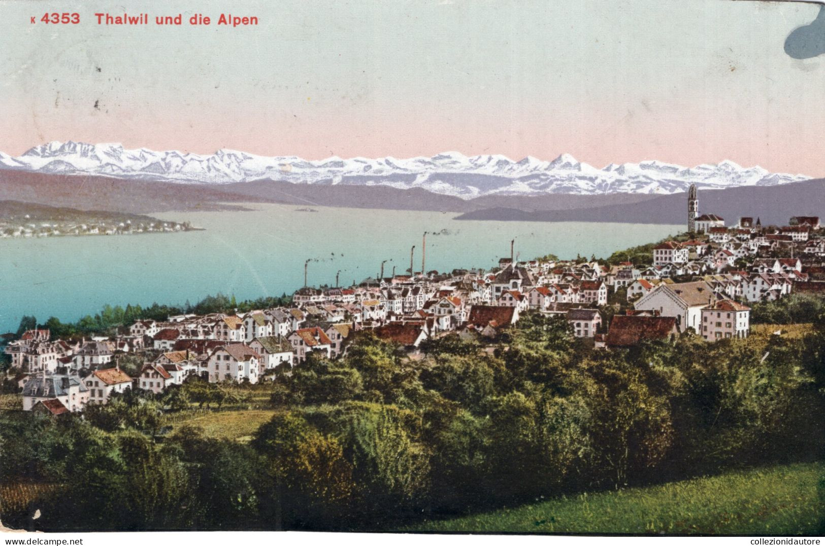 THALWIL UND DIE ALPEN - CARTOLINA FP SPEDITA NEL 1910 - Thalwil