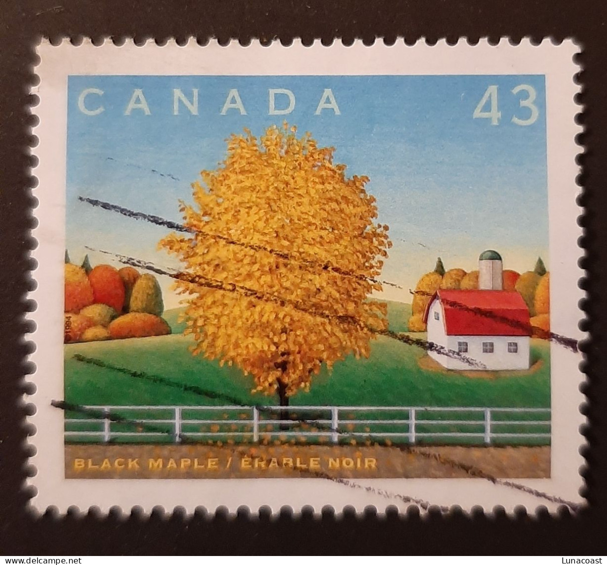 Canada 1994  USED  Sc1524 G   43c Black Maple - Usati