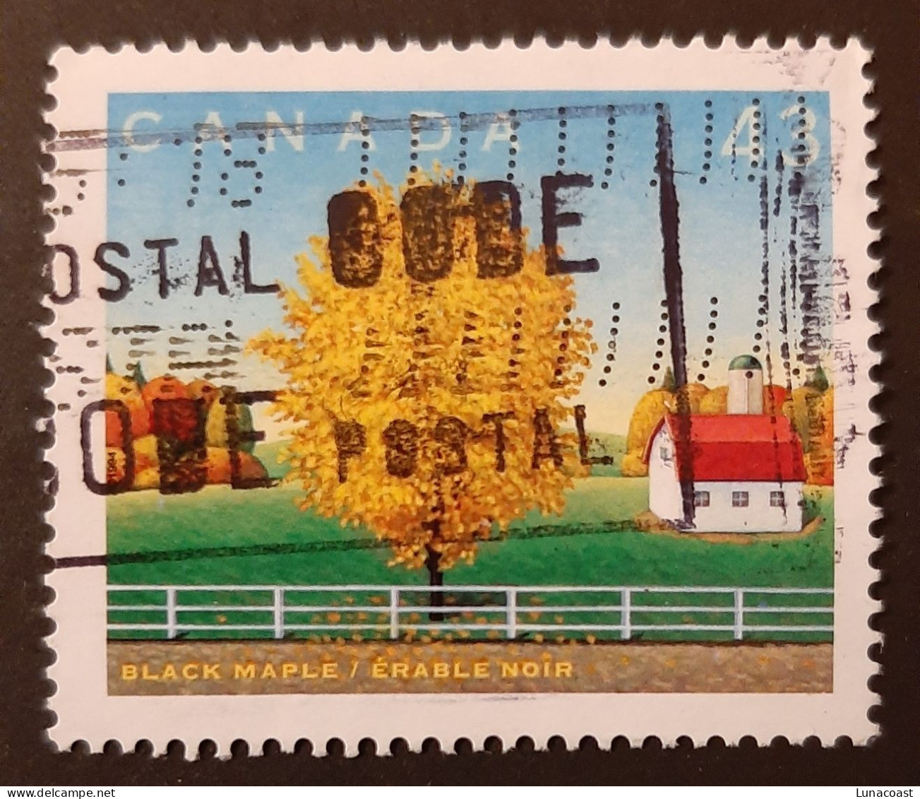 Canada 1994  USED  Sc1524 G   43c Black Maple - Used Stamps