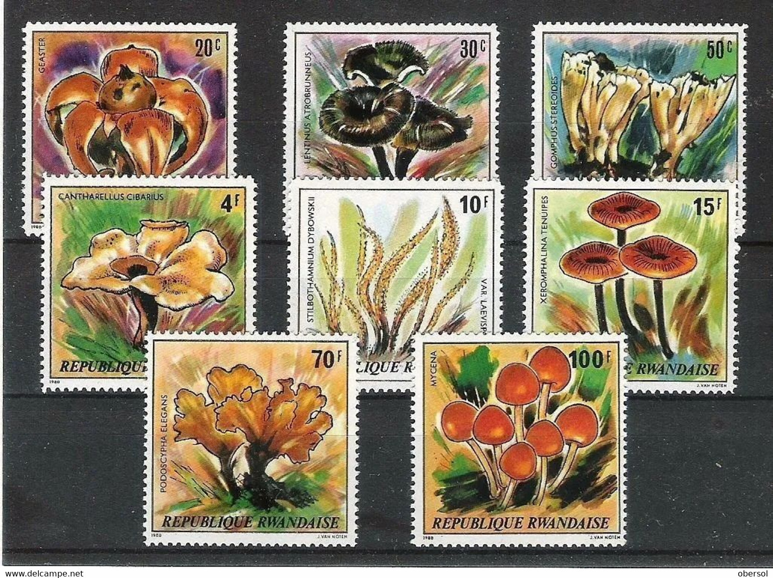 Rwanda 1980  Mushrooms Series 8v MNH - Unused Stamps