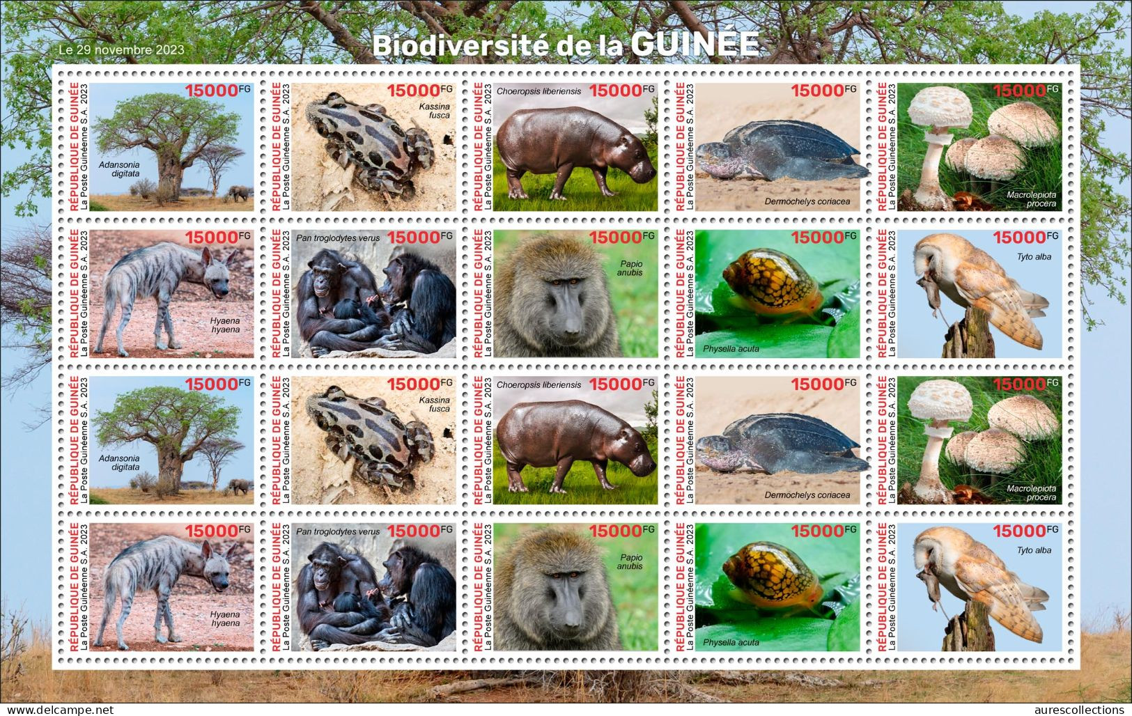 GUINEA 2023 SHEET 20V - FROGS FROG BAOBAB HIPPOPOTAMUS TURTLES TURTLE MUSHROOMS MONKEYS SHELLS OWLS OWL HYENA - MNH - Kikkers