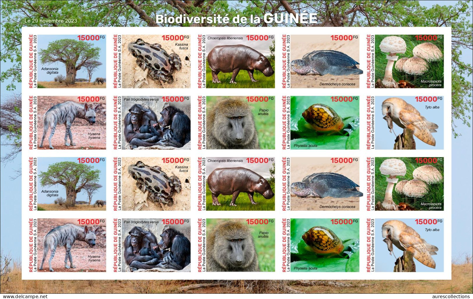 GUINEA 2023 IMPERF SHEET 20V FROGS FROG BAOBAB HIPPOPOTAMUS TURTLES TURTLE MUSHROOMS MONKEYS SHELLS OWLS OWL HYENA - MNH - Kikkers