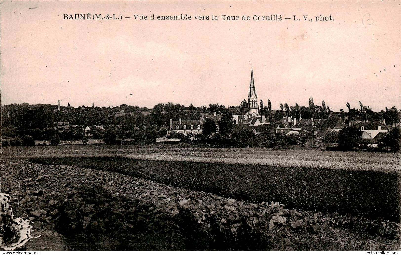 Bauné       49         Vue D'ensemble Vers La Tour De Cornillé   (voir Scan) - Otros & Sin Clasificación