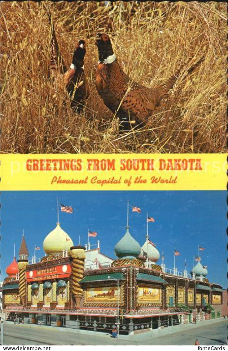 72562685 South_Dakota_US-State Pheasant Capital Of The World - Other & Unclassified