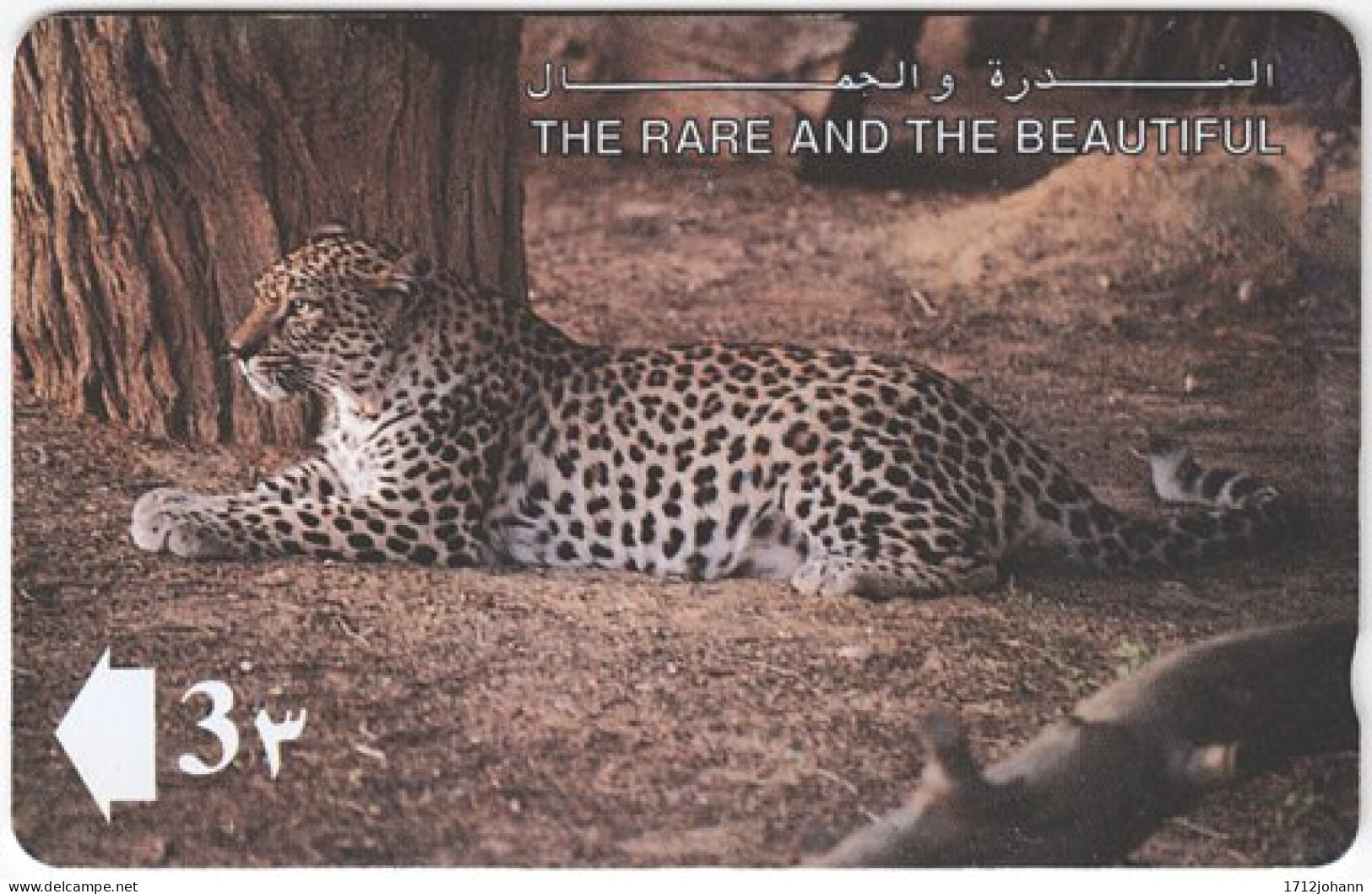 OMAN A-789 Magnetic Telecom - Animal, Cat, Leopard - 13OMNB - Used - Oman