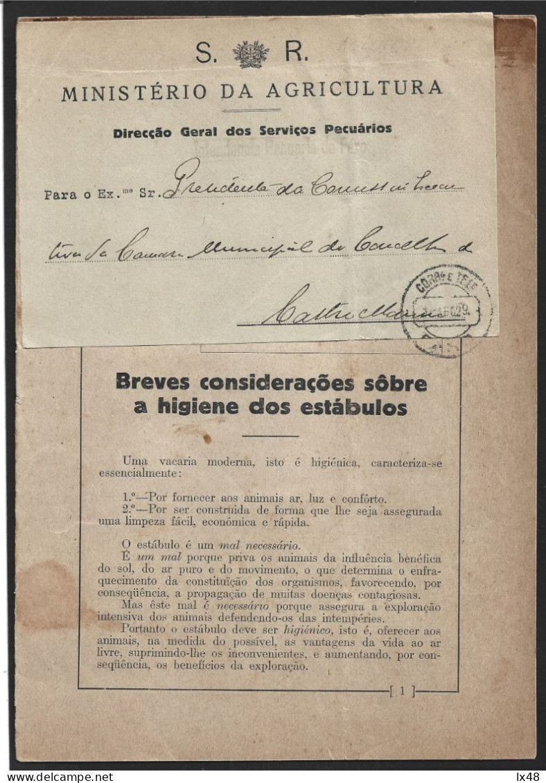 Raro Boletim Nº 1, Maio 1929, Ministério Da Agricultura, Intendência Pecuária Faro. Isenção Porte Do S.R. Marca De Faro - Lettres & Documents