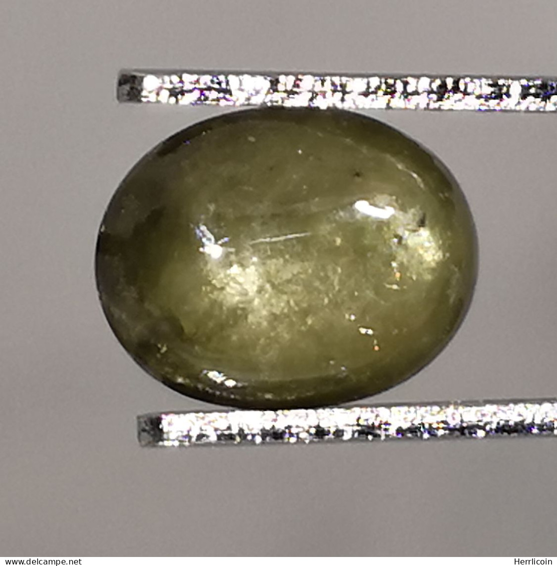 Saphir Vert Traité (BE) De Thaïlande - Cabochon 1.83 Carat - 8.2 X 6.3 X 3.3 Mm - Saphir