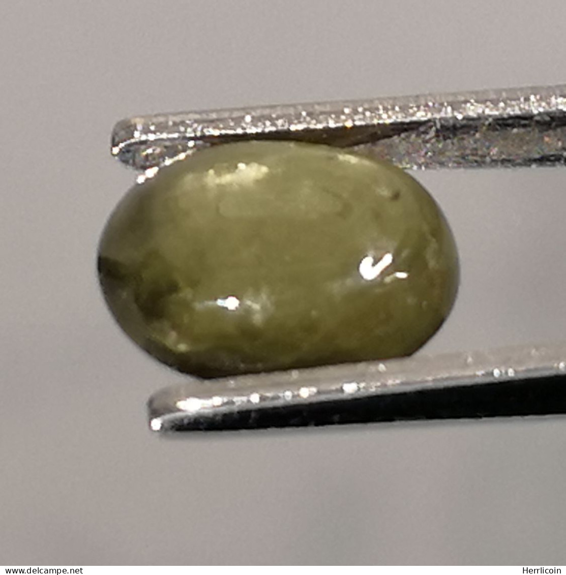 Saphir Vert Traité (BE) De Thaïlande - Cabochon 1.83 Carat - 8.2 X 6.3 X 3.3 Mm - Saffier