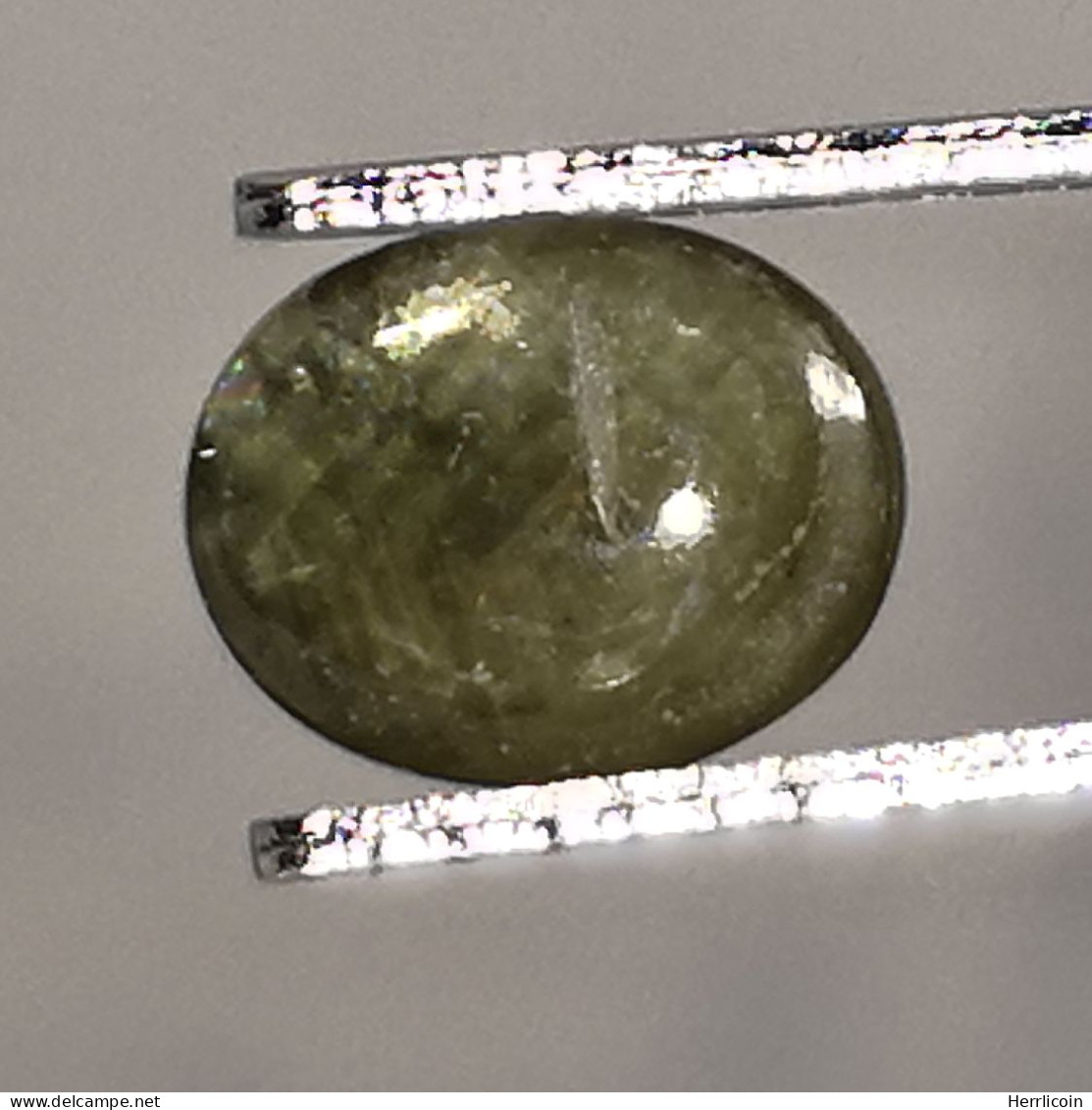 Saphir Vert Traité (BE) De Thaïlande - Cabochon 1.83 Carat - 8.2 X 6.3 X 3.3 Mm - Sapphire