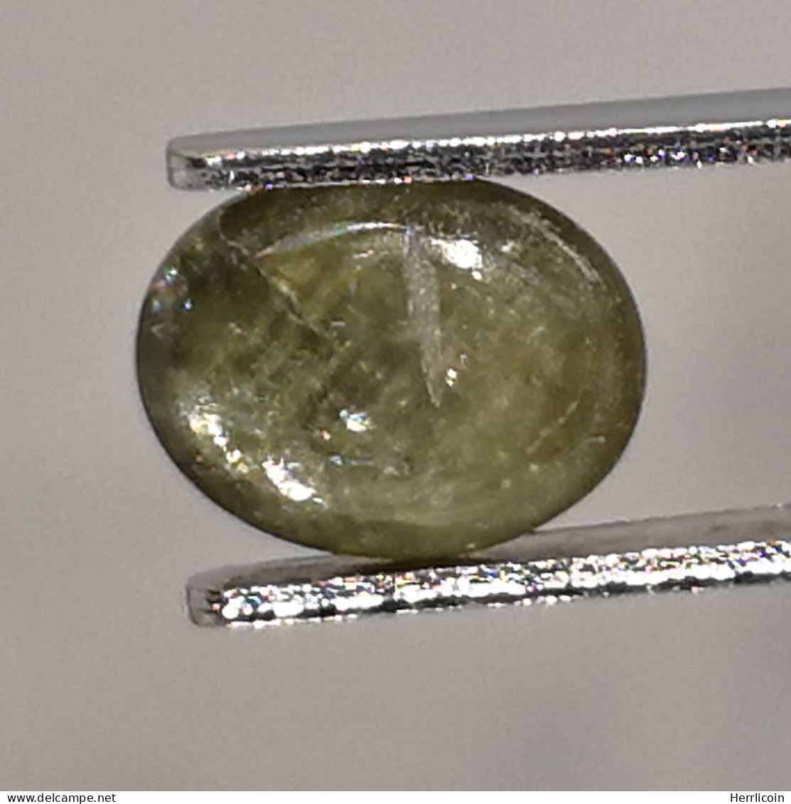 Saphir Vert Traité (BE) De Thaïlande - Cabochon 1.83 Carat - 8.2 X 6.3 X 3.3 Mm - Saffier