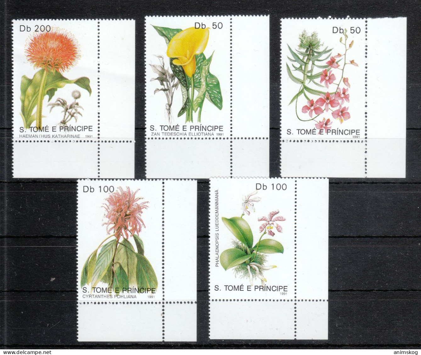 Sao Tome Und Principe 1991**, Blumen, Sukkulente Haemanthus / Sao Tome And Principe 1991, MNH, Flowers, Succulent - Sukkulenten