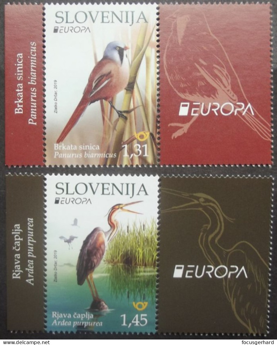 Slowenien   Zierfeld   Europa  Cept   Nationale Vögel   2019    ** - 2019