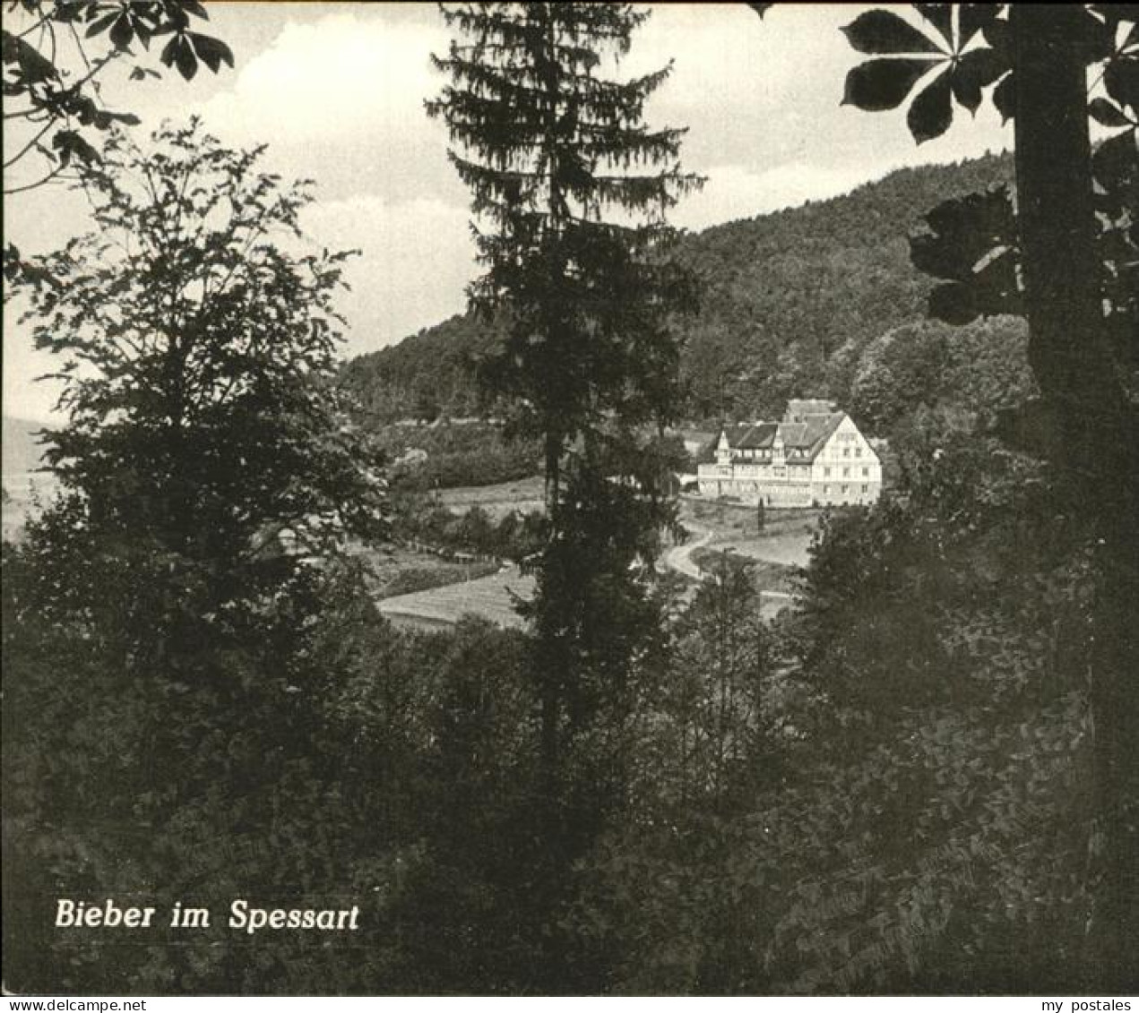 41254682 Gelnhausen Bieber Hermann Lueckel Kolonialwaren Gelnhausen - Gelnhausen