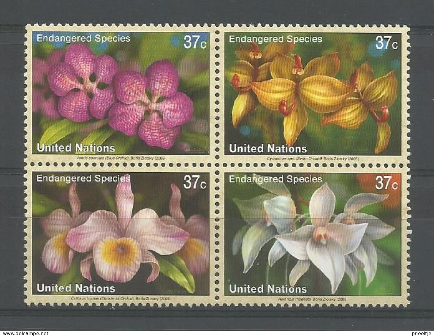 United Nations NY 2005  Endangered Plants 4-block Y.T. 953/956 ** - Neufs