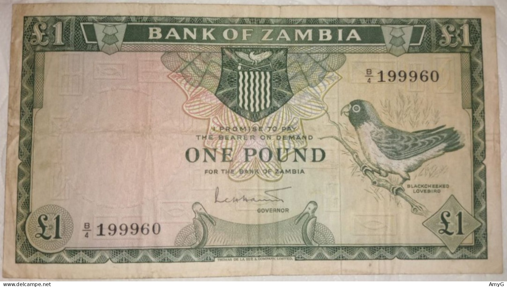 1964 Bank Of Zambia 1 Pound Note - Other - Africa