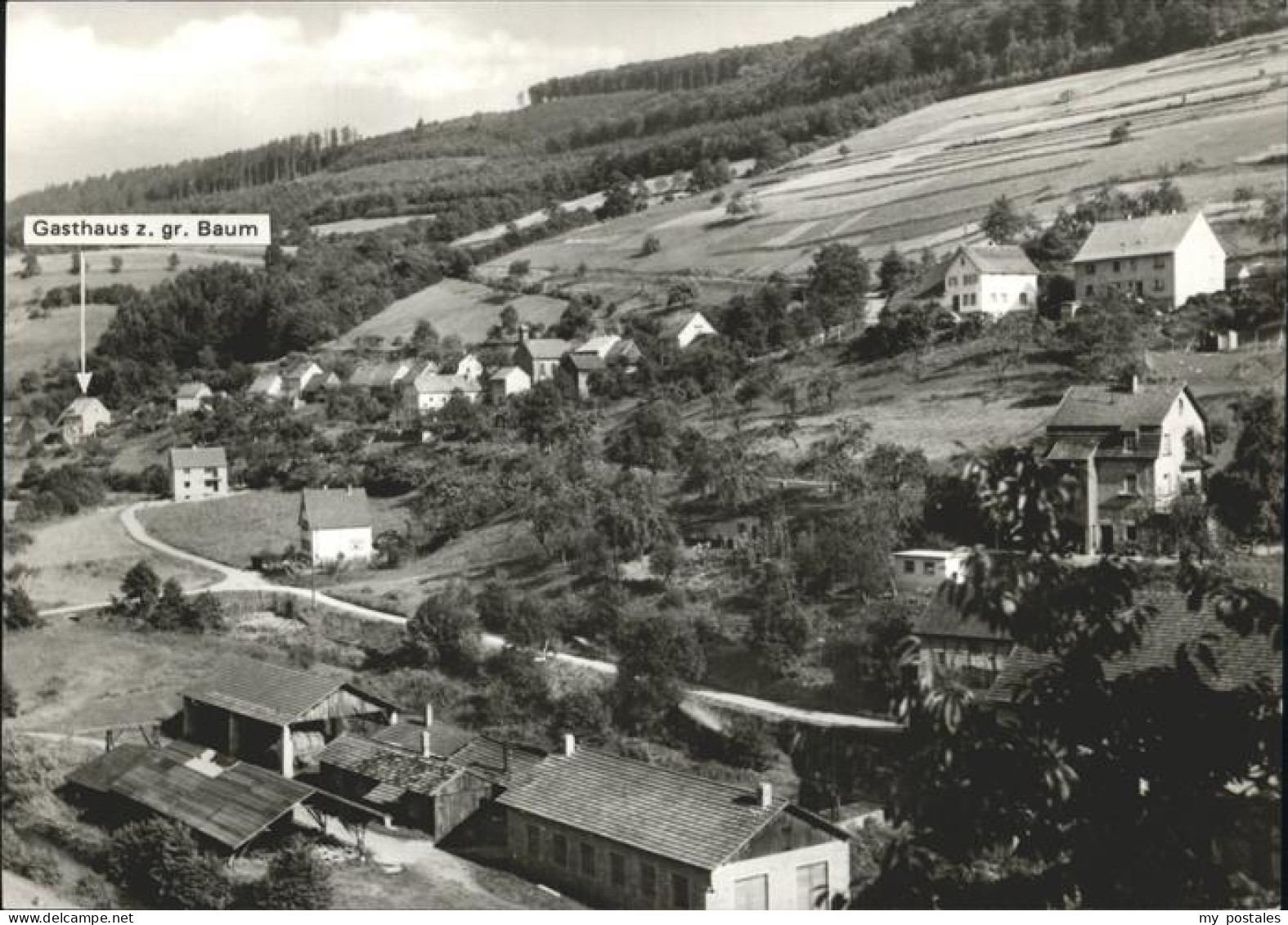 41252326 Friedrichsdorf Eberbach Gasthaus Pension Zum Grossen Baum Wilh. Loewel  - Eberbach