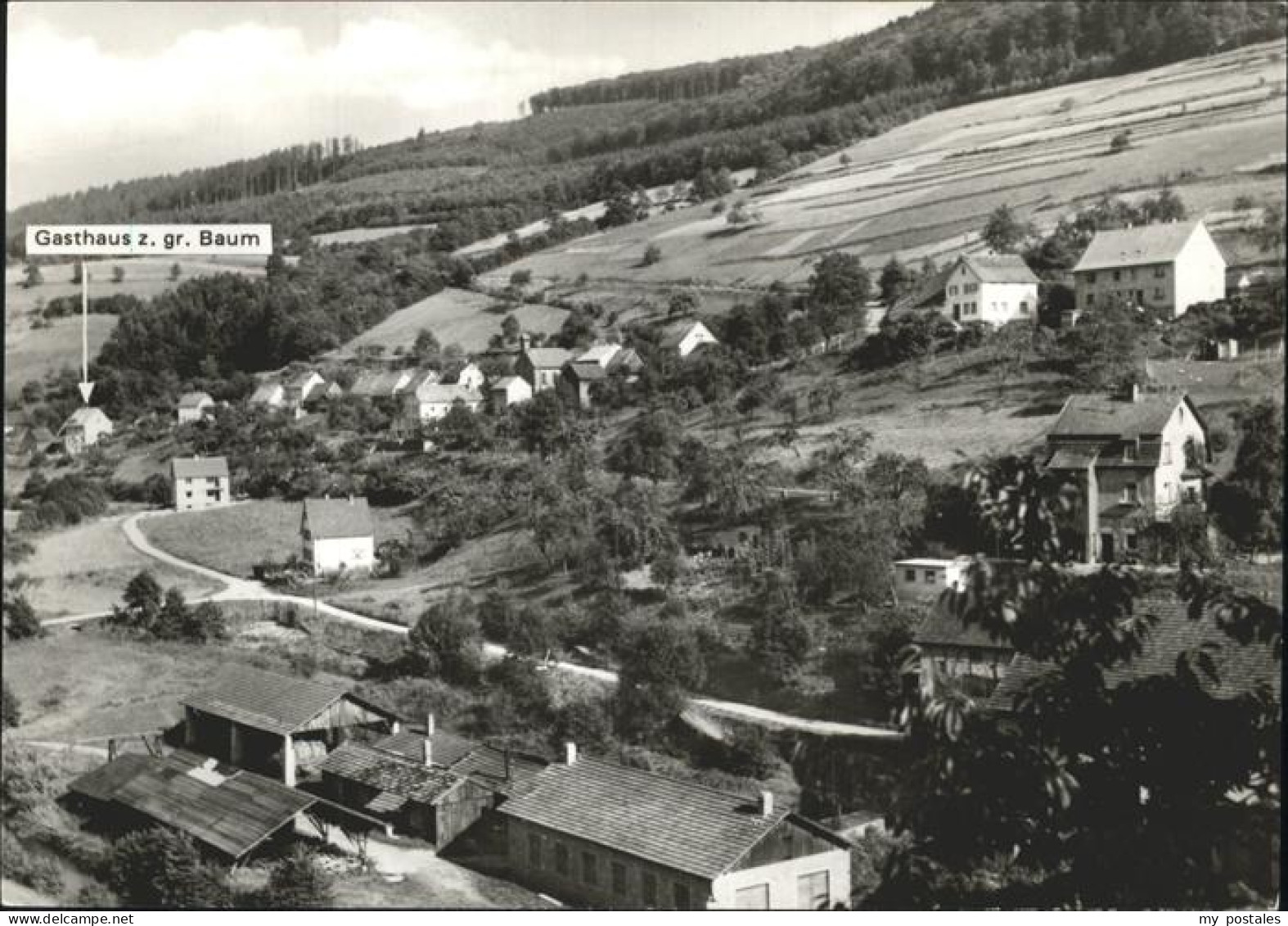 41252325 Friedrichsdorf Eberbach Gasthaus Pension Zum Grossen Baum Wilh. Loewel  - Eberbach