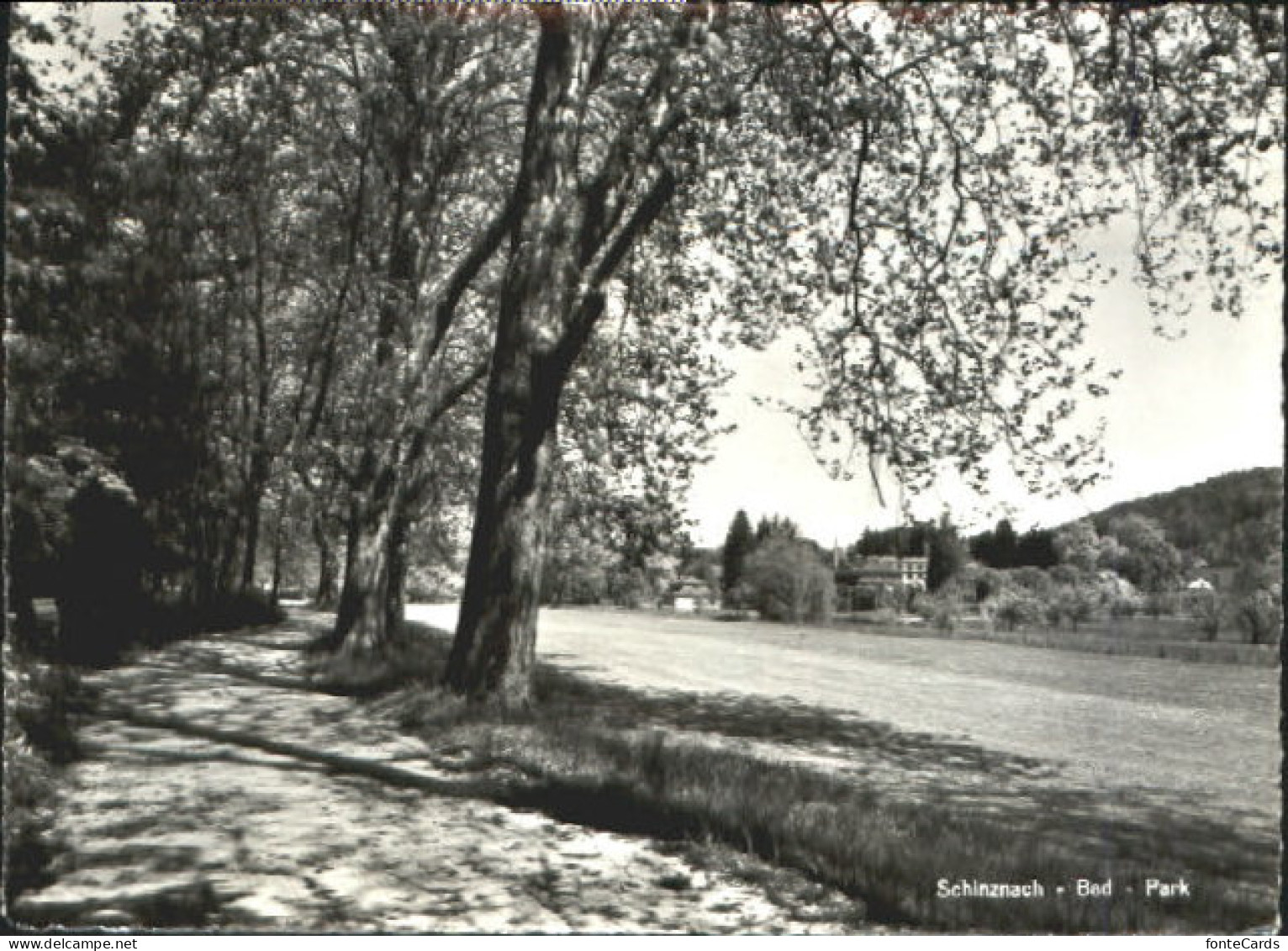 10548287 Schinznach Bad Park X 1960 Schinznach Bad - Autres & Non Classés