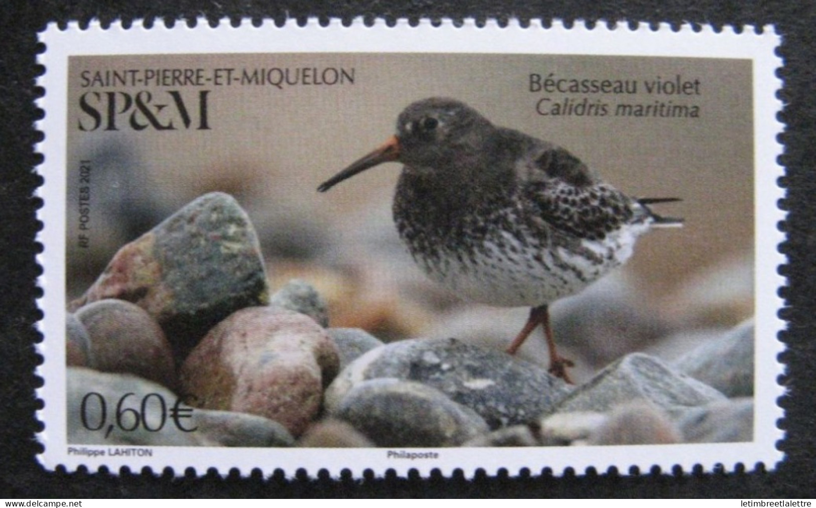 Saint Pierre Et Miquelon - YT N° 1253 ** - Neuf Sans Charnière - 2020 - Unused Stamps