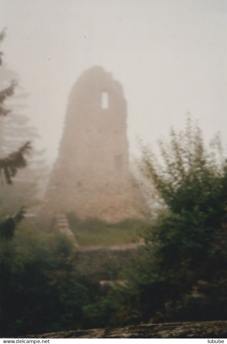 Gelterkinden - Ruine Farnburg  (Photo)        2006 - Gelterkinden
