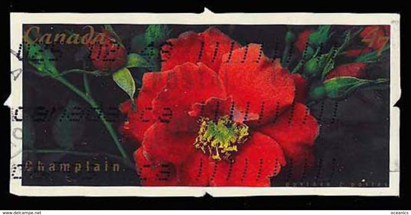 Canada (Scott No.1913 - Roses) (o) - Gebraucht