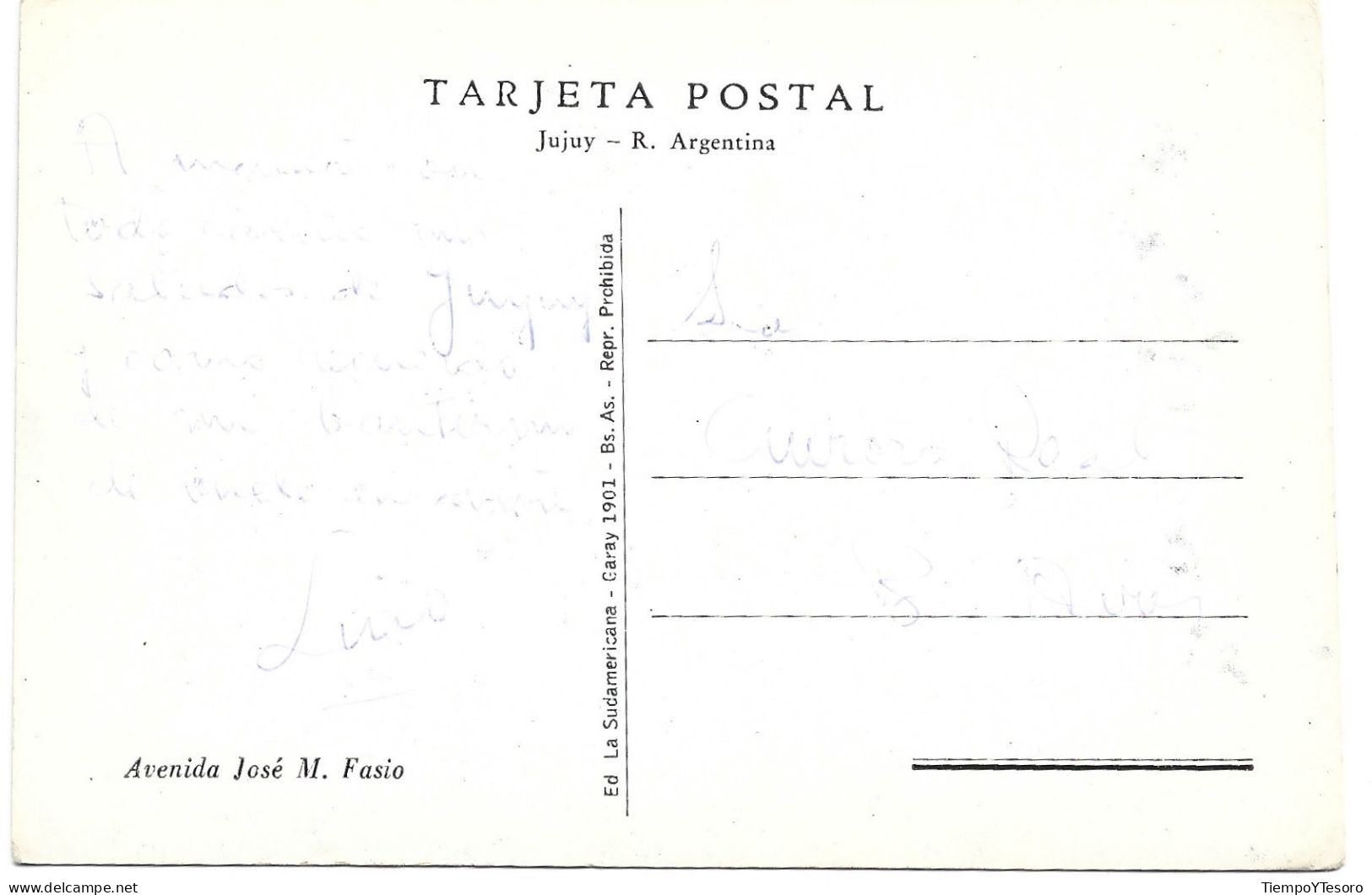 Postcard - Argentina, Jujuy, José M. Fasio Avenue, N°554 - Argentine