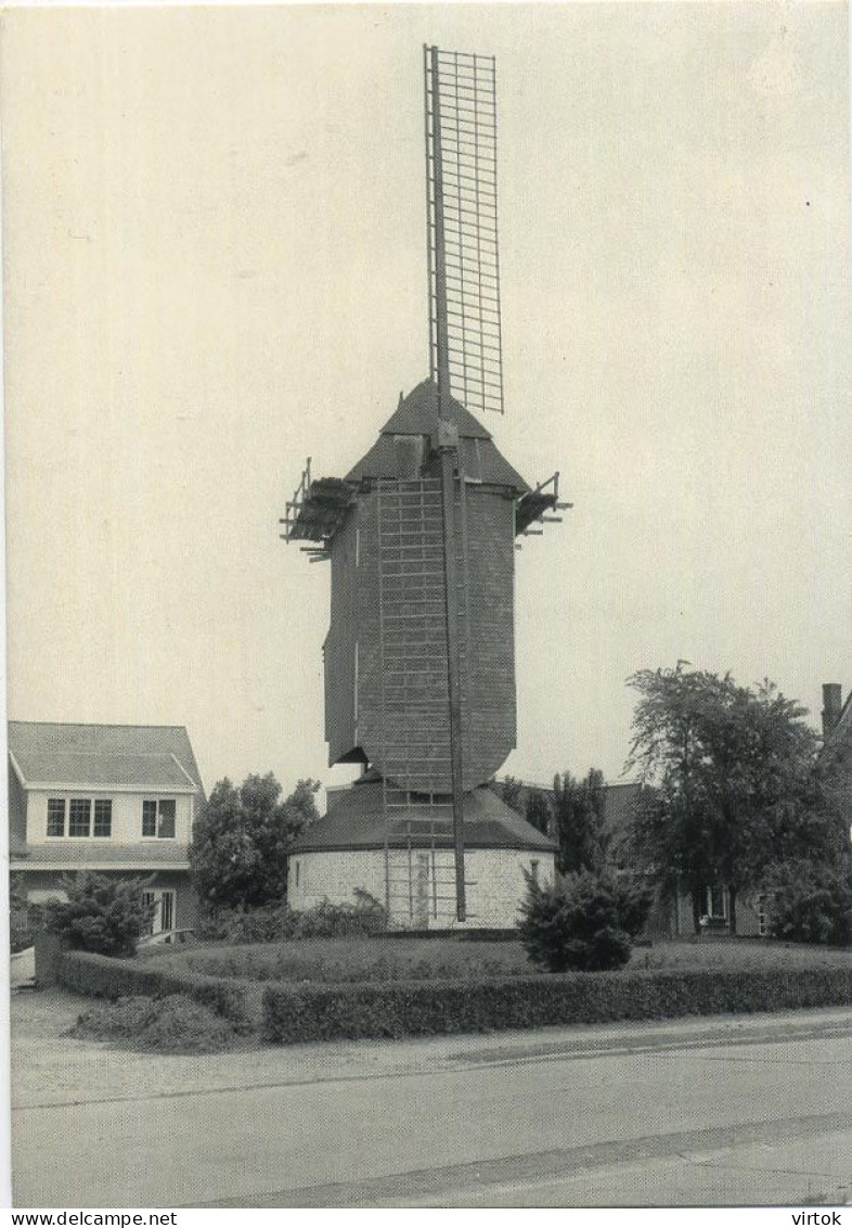 Aartselaar  :  Windmolen   ( Groot Formaat 15 X 10.5 Cm ) - Aartselaar