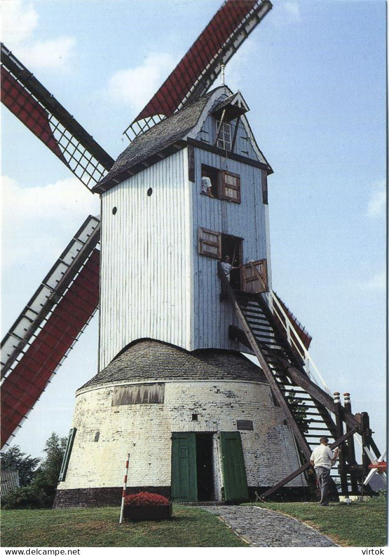 Gistel -  Oostmolen     :  Windmolen   ( Groot Formaat 15 X 10.5 Cm ) - Gistel