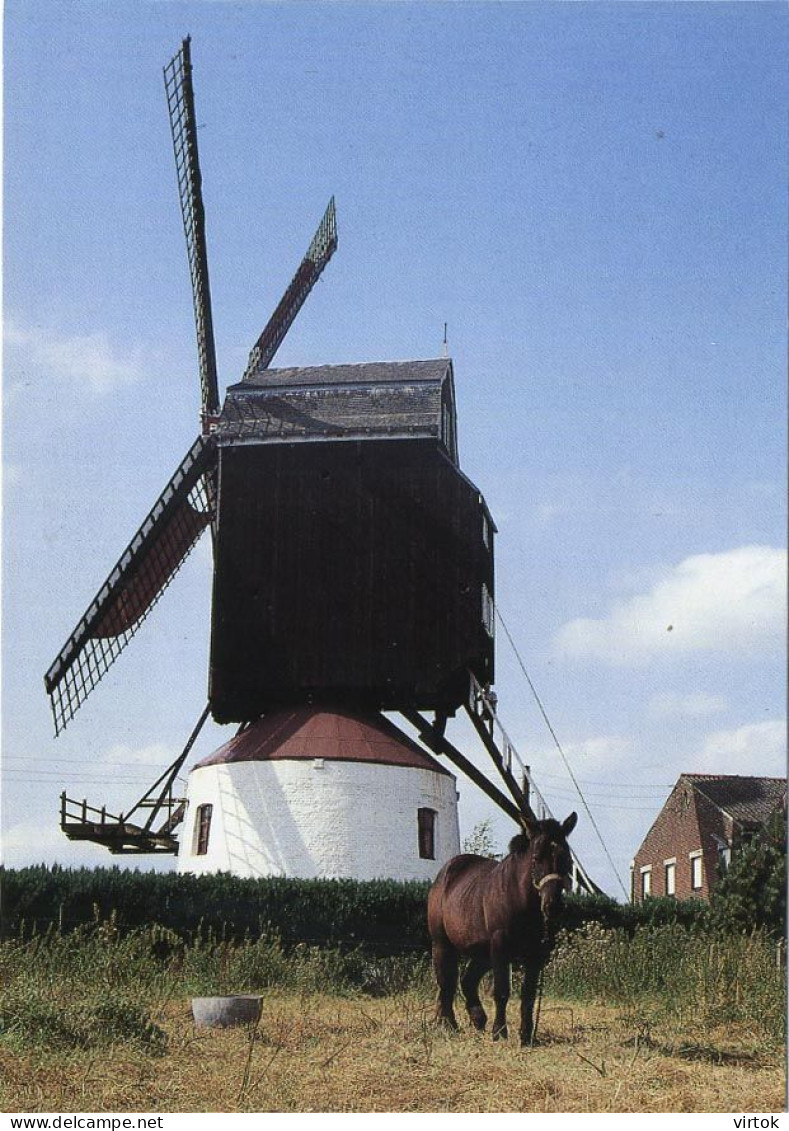 Meulebeke :  Herentmolen   :  Windmolen   ( Groot Formaat 15 X 10.5 Cm ) - Meulebeke