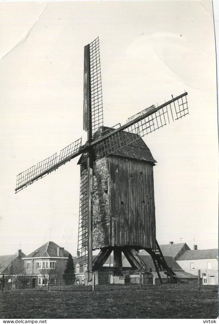 Leisele    :  Windmolen   ( Groot Formaat 15 X 10.5 Cm ) - Alveringem