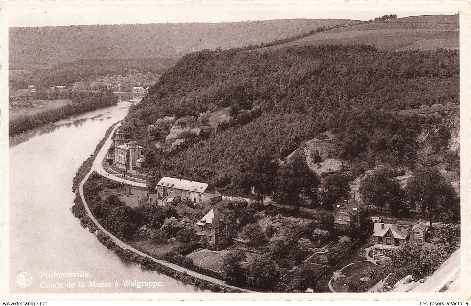 BELGIQUE - Profondeville - Coude De La Meuse à Walgrappe - Carte Postale Ancienne - Profondeville